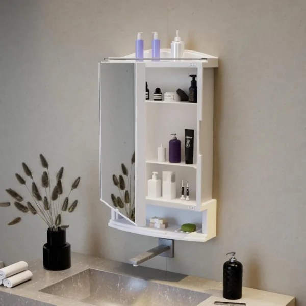 Plastic Multipurpose Wall Mounted Storage Cabinet with Mirror, Prime Look