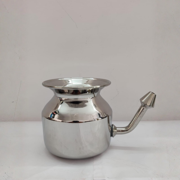 Ayurvedic Jal Neti Pot
